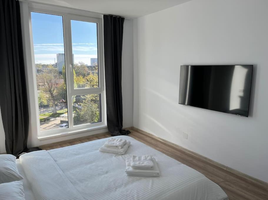 Arethusa Central Apartament Timişoara
